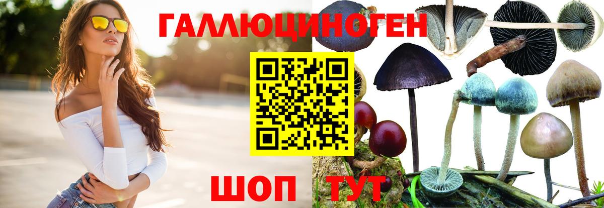 Галлюциногенные грибы прущие грибы  купить наркоту  Бердск 