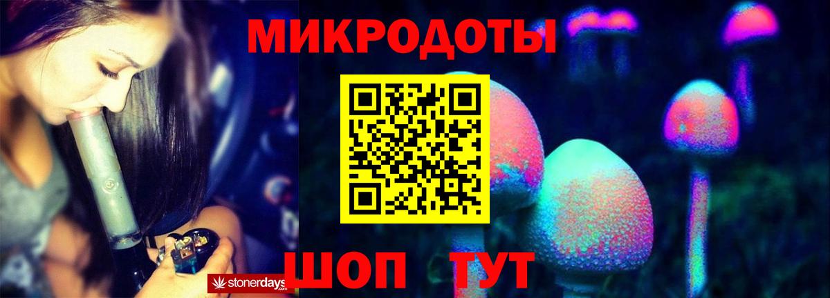 Галлюциногенные грибы Psilocybine cubensis Бердск