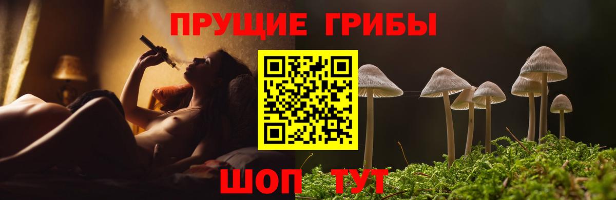 Галлюциногенные грибы мицелий  Вход с VPN  Бердск 